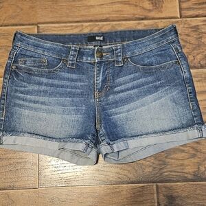 ANA Blue Denim Women's Shorts size 10